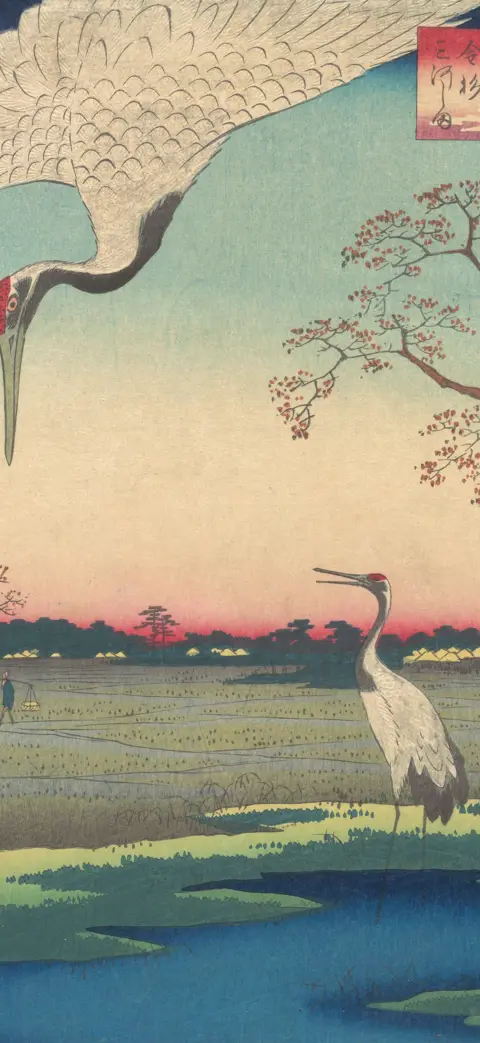 Cranes at Mikawashima iPhone wallpaper