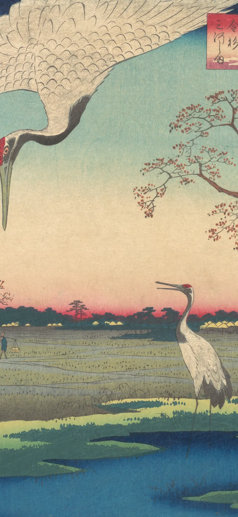 Cranes at Mikawashima iPhone wallpaper