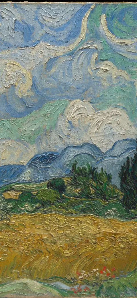 Wheat field with cypresses iPhone wallpaper