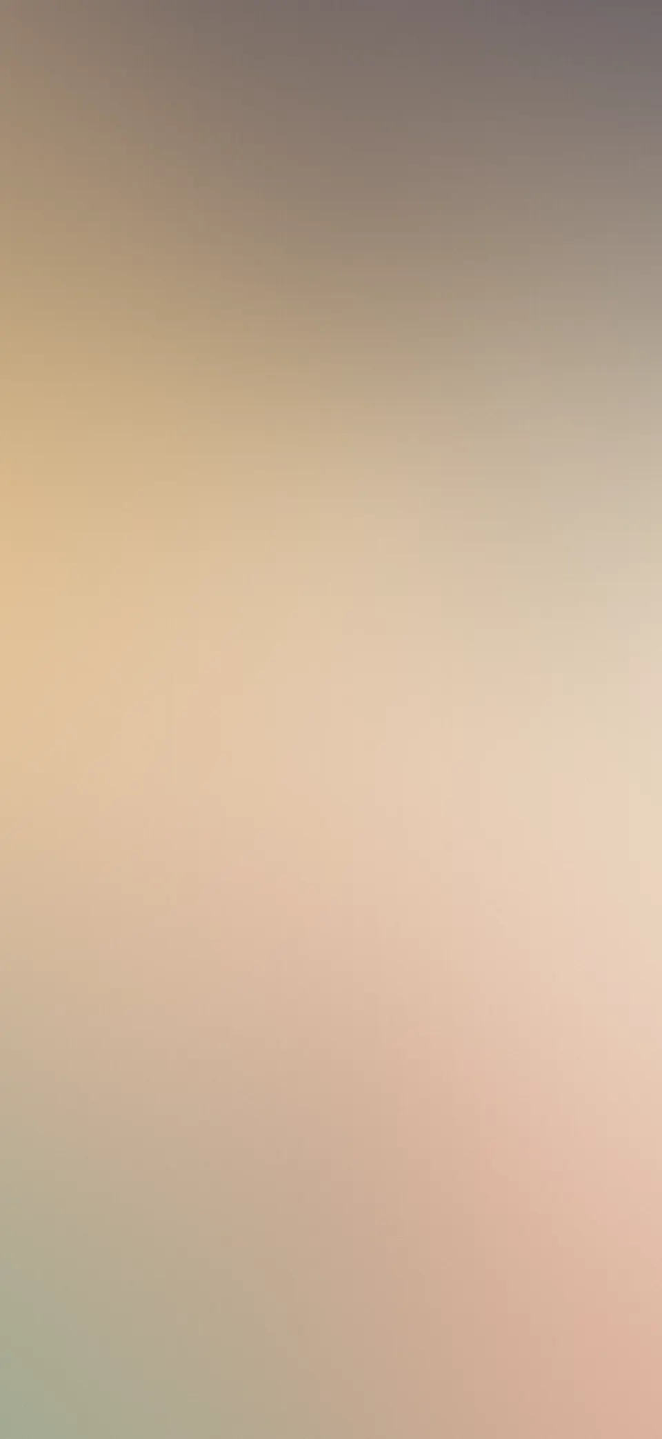 Desert bloom mesh gradient iPhone wallpaper